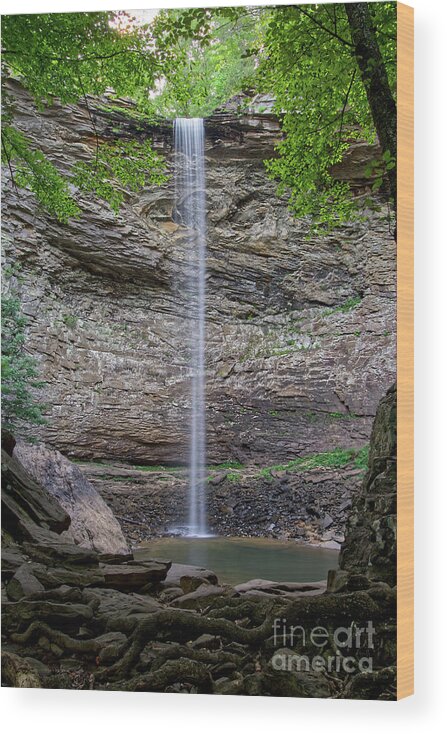 Tennessee Wood Print featuring the photograph Ozone Falls 27 by Phil Perkins