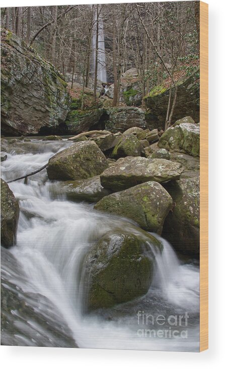 Tennessee Wood Print featuring the photograph Ozone Falls 34 by Phil Perkins
