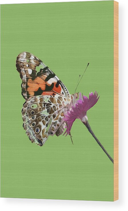 Nature Wood Print featuring the mixed media Painted Lady by Judy Cuddehe