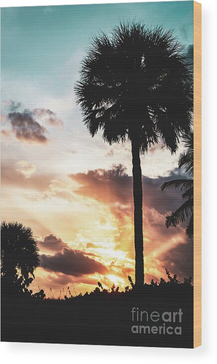 Tropical Wood Print featuring the photograph Palm Tree Silhouettes and Sunset Coastal Nature / Landscape Photo by PIPA Fine Art - Simply Solid