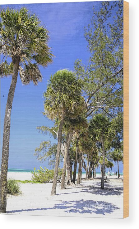 Palm Trees. Beach Wood Print featuring the digital art Palms Of The Gulf Coast by Alison Belsan Horton