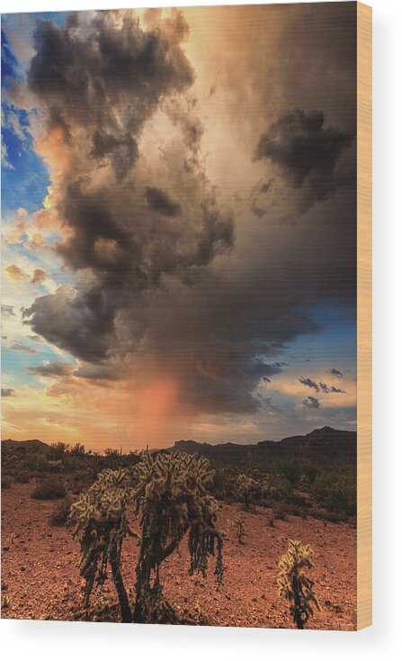 American Southwest Wood Print featuring the photograph Parched by Rick Furmanek