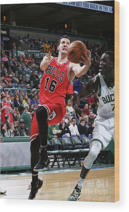 Nba Pro Basketball Wood Print featuring the photograph Paul Zipser by Gary Dineen