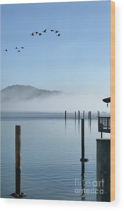 Sausalito Wood Print featuring the photograph Peacefulness by Manuela's Camera Obscura