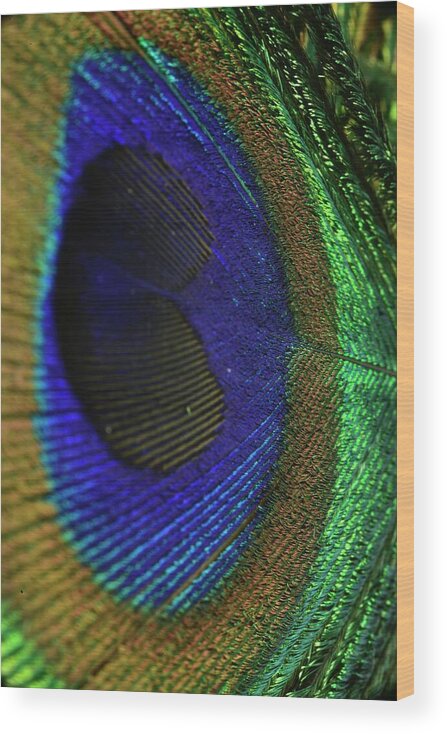 Peacock Eye Wood Print featuring the photograph Peacock Eye by Neil R Finlay