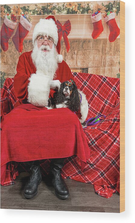 Peppermint Wood Print featuring the photograph Peppermint with Santa 1 by Christopher Holmes