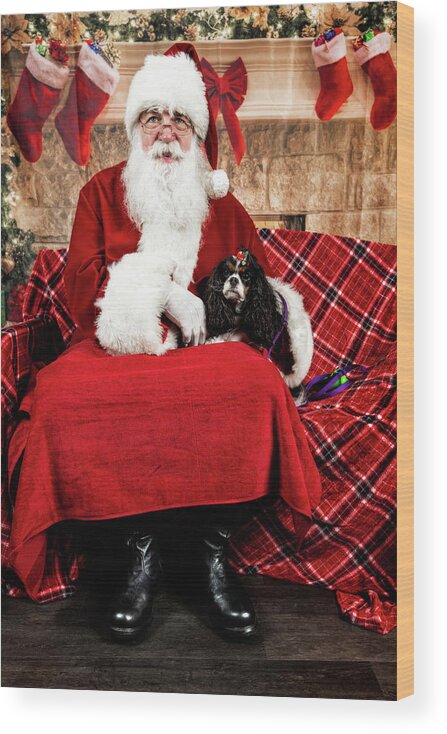 Peppermint Wood Print featuring the photograph Peppermint with Santa 2 by Christopher Holmes