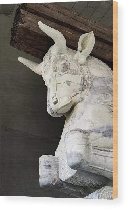Persian Bull Capital Wood Print featuring the photograph Persian Bull Capital 03 by Weston Westmoreland