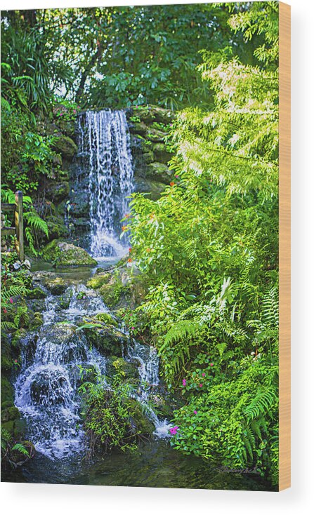 Color Wood Print featuring the photograph Petite River Waterfall by Alan Hausenflock