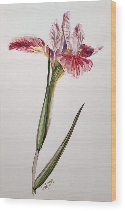 Flower Wood Print featuring the painting Pink Orchid by George Cret
