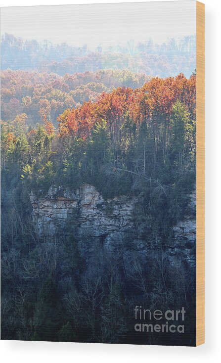 Nature Wood Print featuring the photograph Point Trail At Obed 5 by Phil Perkins