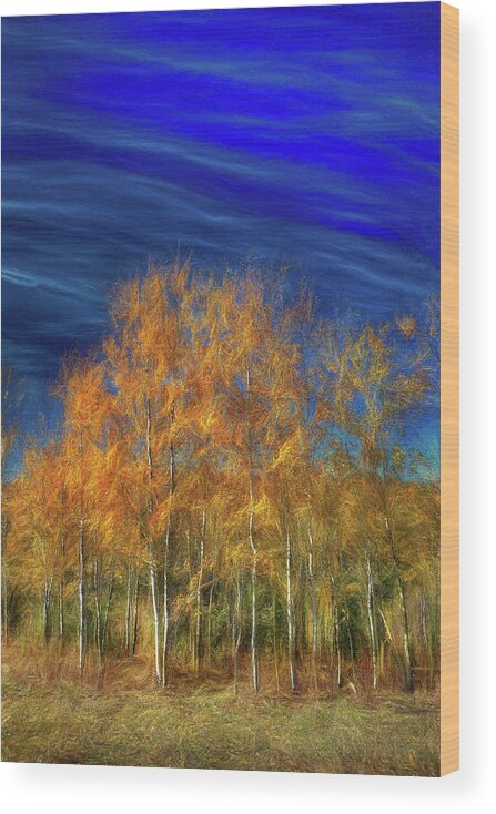 Fall Wood Print featuring the photograph Poplar Wind by Wayne King
