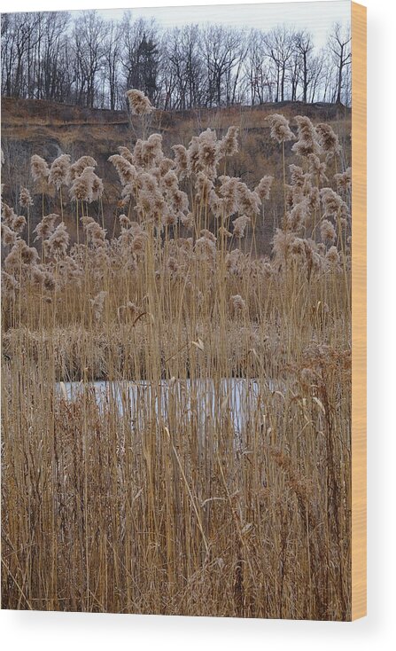 Nature Wood Print featuring the photograph Quarry Whisps And Pond by Kreddible Trout