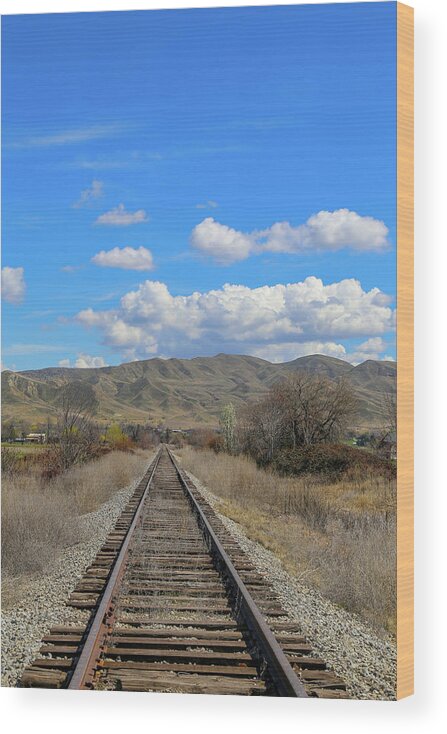 Railroad Wood Print featuring the photograph Rail Road Tracks by Dart Humeston