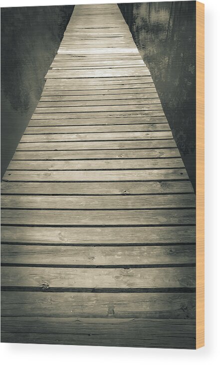 Trail Wood Print featuring the photograph Reflective Walk #6 by Jennifer Wright