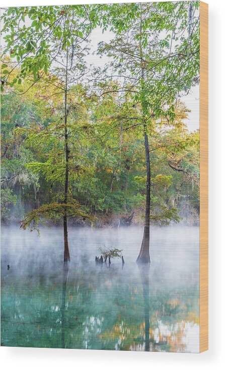 Florida Wood Print featuring the photograph River Morning Mist by Stefan Mazzola