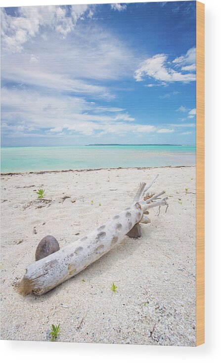 Driftwood Wood Print featuring the photograph Robinson Crusoe's Living Room by Becqi Sherman