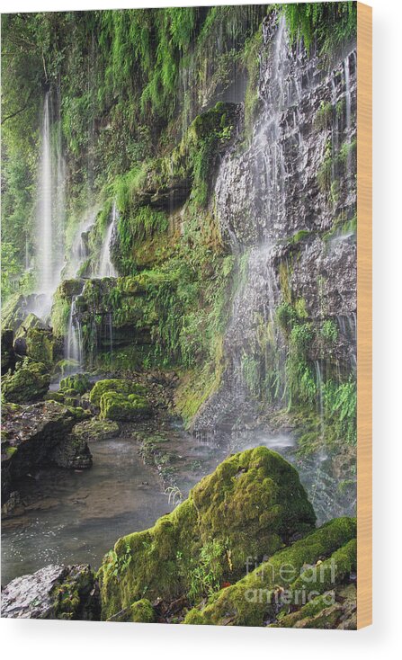 Waterfalls Wood Print featuring the photograph Rock Island State Park 22 by Phil Perkins