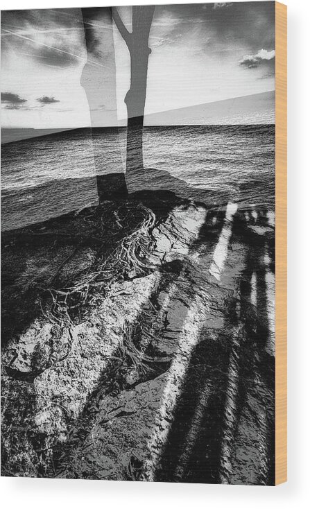 Double Exposure Wood Print featuring the photograph Rooted 2 by Marianne Campolongo