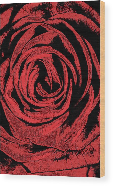 Rose Wood Print featuring the digital art Rose by MPhotographer