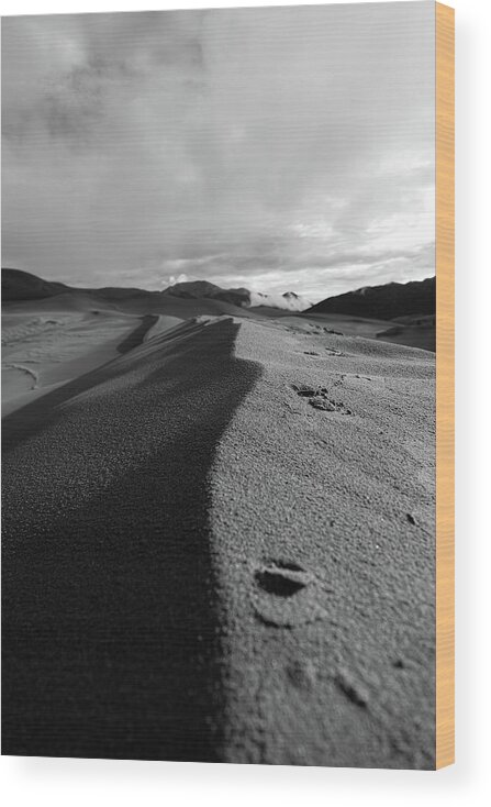 Mountain Wood Print featuring the photograph Sand Dune Dayz by Go and Flow Photos