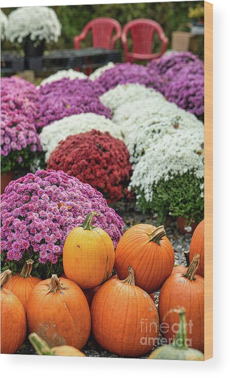 Flowers Wood Print featuring the photograph Shopping for Fall by Nicki McManus