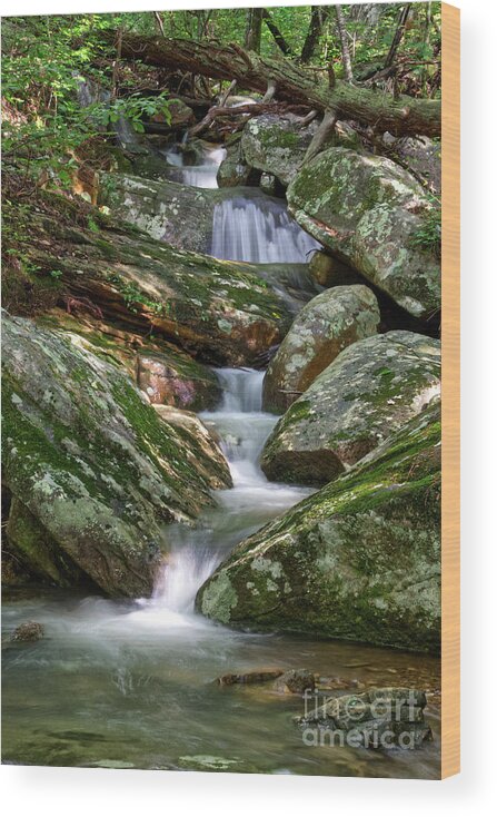 Morning Wood Print featuring the photograph Small Cascades 2 by Phil Perkins