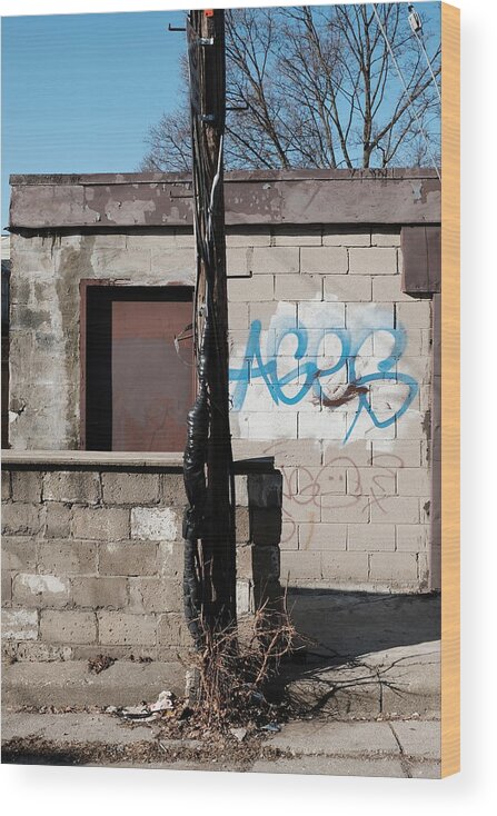 Urban Wood Print featuring the photograph Small Shack, Short Wall And A Pole by Kreddible Trout
