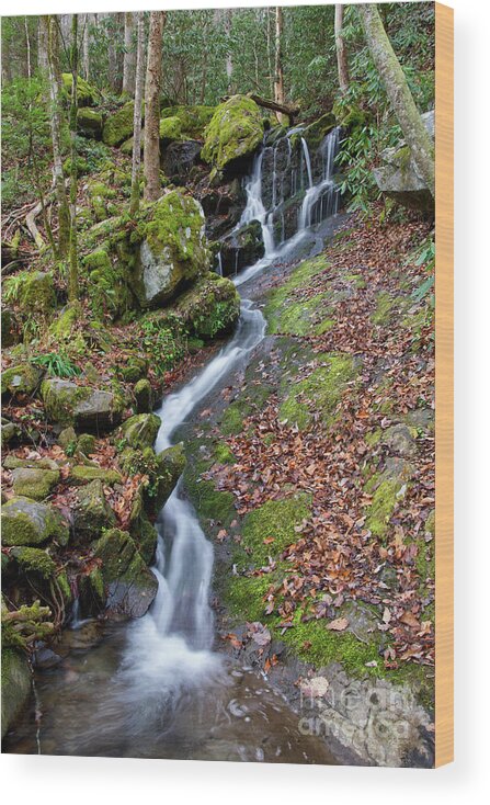 Tennessee Wood Print featuring the photograph Small Waterfall In Forest by Phil Perkins