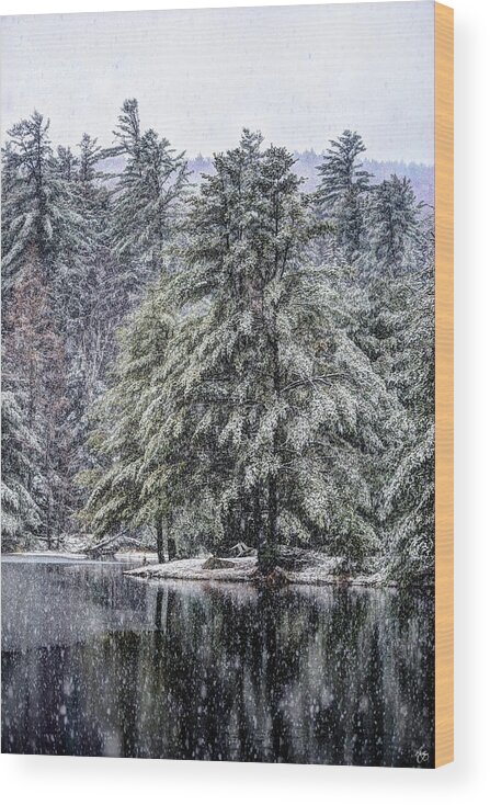 Snow Wood Print featuring the photograph Snow Falls on Orris Point by Wayne King