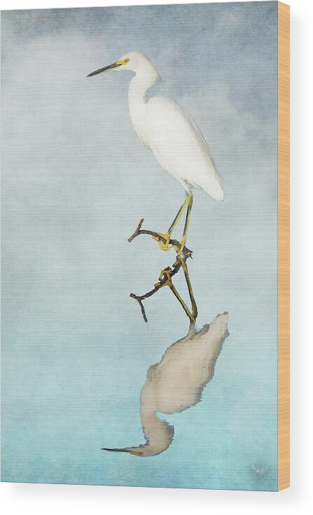 Reflection Wood Print featuring the photograph Snowy Egret Reflection by Pam Rendall