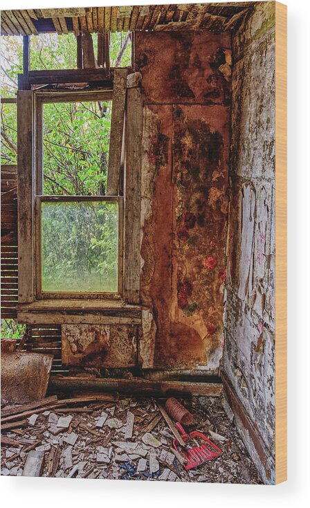 Groff Wood Print featuring the photograph Some Cleaning Required #2 of 2- abandoned farm homestead in Benson County ND by Peter Herman