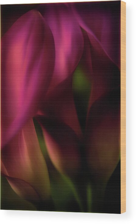 Floral Wood Print featuring the photograph Sound of Silence - Red Tones by Darlene Kwiatkowski