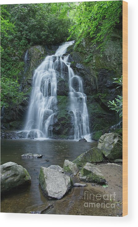 Tennessee Wood Print featuring the photograph Spruce Flats Falls 26 by Phil Perkins
