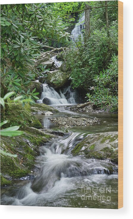 Tennessee Wood Print featuring the photograph Spruce Flats Falls 31 by Phil Perkins