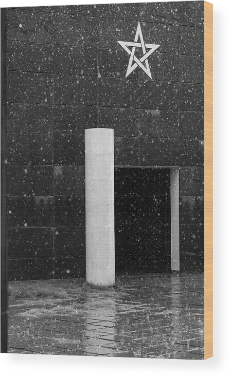 Minimalism Wood Print featuring the photograph Star Drenched in Rain by Prakash Ghai