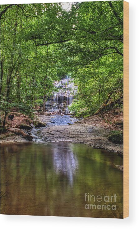 Waterfall Wood Print featuring the photograph Station Cove Waterfall by Amy Dundon