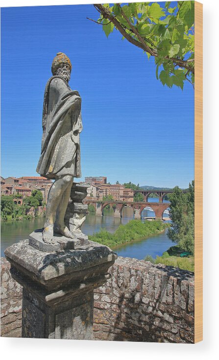 Tranquility Wood Print featuring the photograph Statue in the formal gardens of the Palais de Berbie in Albi, France. by David Forman