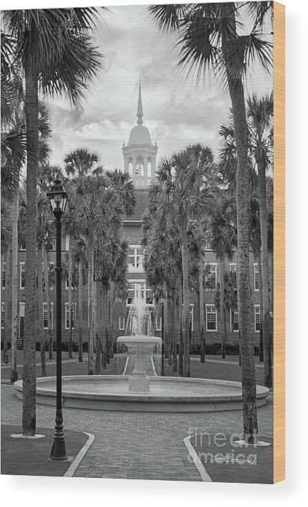 Stetson University Wood Print featuring the photograph Stetson University Palm Court Fountain by University Icons