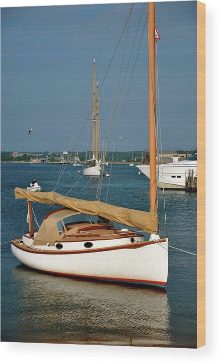Sailboat Wood Print featuring the photograph Still Sailboat by Sue Morris