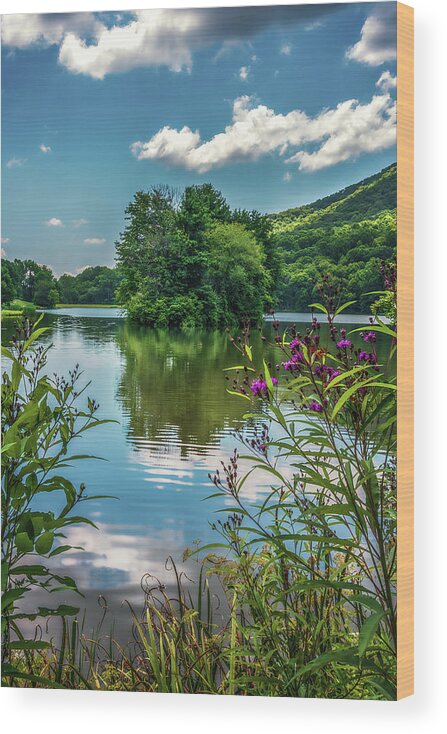 Lake Wood Print featuring the photograph Summer at Abbott Lake by Tricia Louque