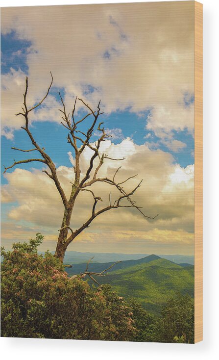 Mountain Wood Print featuring the photograph Summer Mountain Vibes by Go and Flow Photos