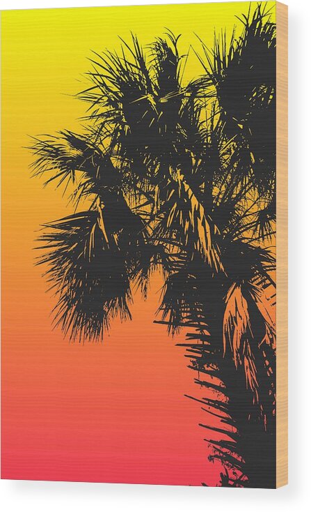 Palm Trees Pop Art Colors Wood Print featuring the digital art Summer Palms Pop Art Retro by Dan Sproul