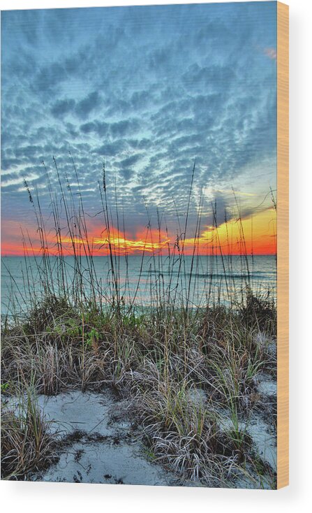 Sunset Wood Print featuring the photograph Sun Setting by Alison Belsan Horton