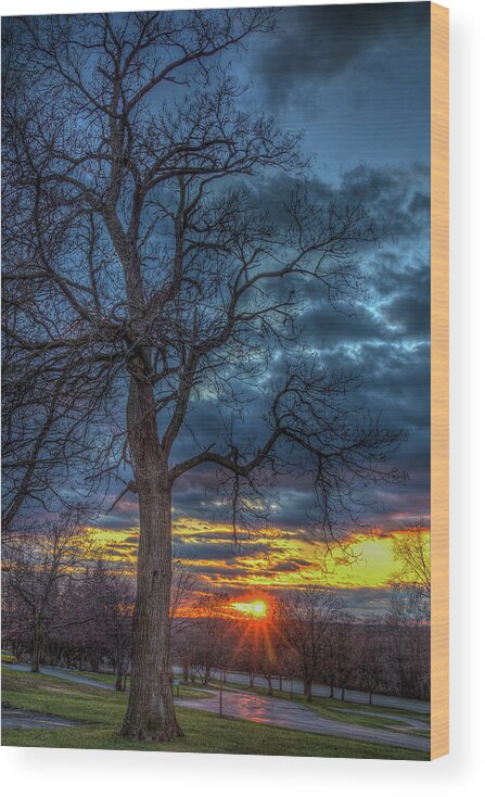 Sunset Lockport Illinois Wood Print featuring the photograph Sunset in Dellwood Park, Lockport, Illinois by David Morehead