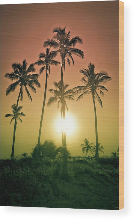 Skyward Palm Trees Wood Print featuring the photograph Sunset Palms by Az Jackson