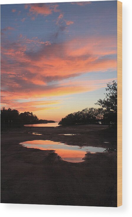 Sunset Wood Print featuring the photograph Sunset reflection by Jindra Noewi