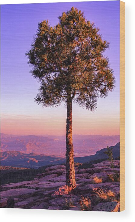 View Wood Print featuring the photograph Sunset View from Aztec Peak by Bonny Puckett