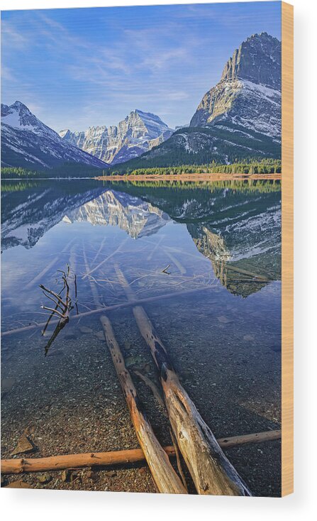 Autumn Wood Print featuring the photograph Swiftcurrent Driftwood by Jack Bell