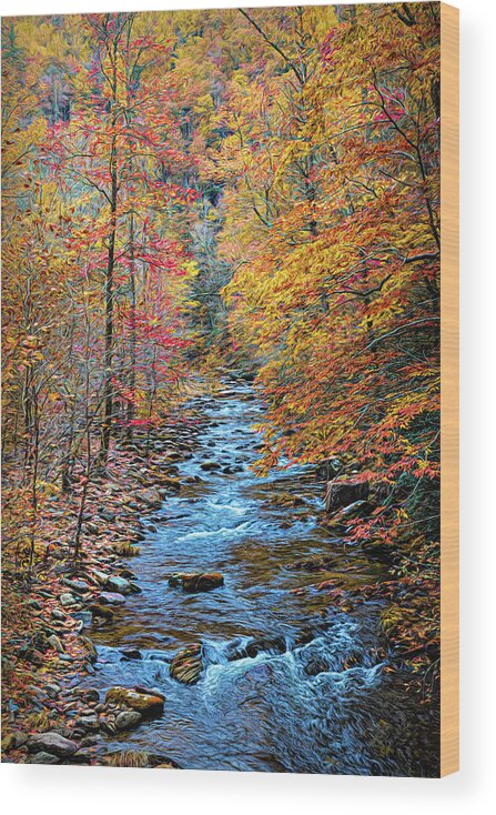 Carolina Wood Print featuring the photograph The Call of the Forest II Painting by Debra and Dave Vanderlaan